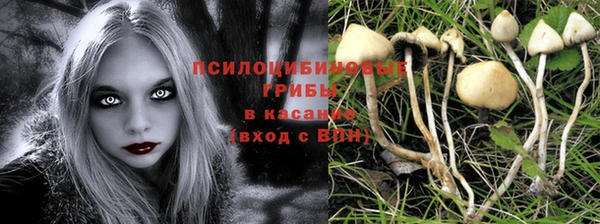 дживик Баксан