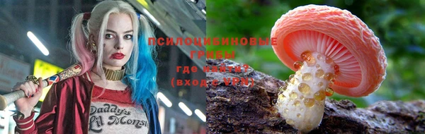 МДПВ Балахна