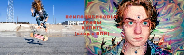 дживик Баксан